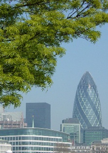 Trees ‘significantly improve’ air quality in cities