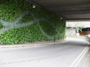 Second green wall installed in London by TfL