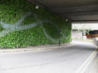 ‘Significant’ air quality benefits from green walls