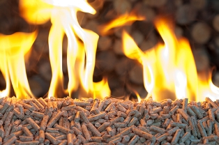 Biomass emissions projected to fall in UK