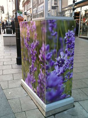 Sutton to declare Air Quality Management Area