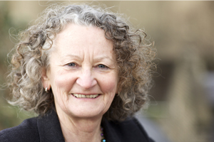 Campaign seeks to enshrine right to clean air in law