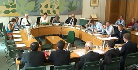 Commons environmental committees take shape