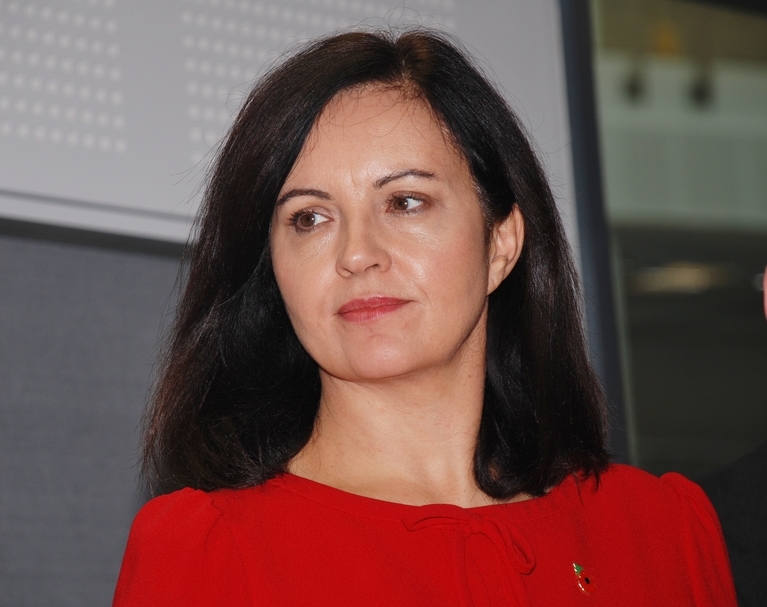 Labour says Green Plan will tackle ‘loss of clean air’