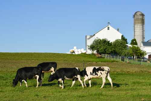 EU committee votes against agriculture emissions limits
