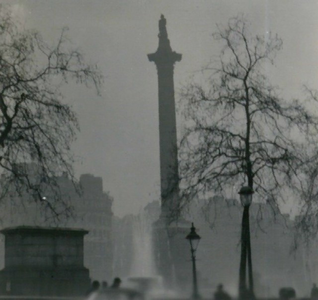 MP launches petition for new Clean Air Act