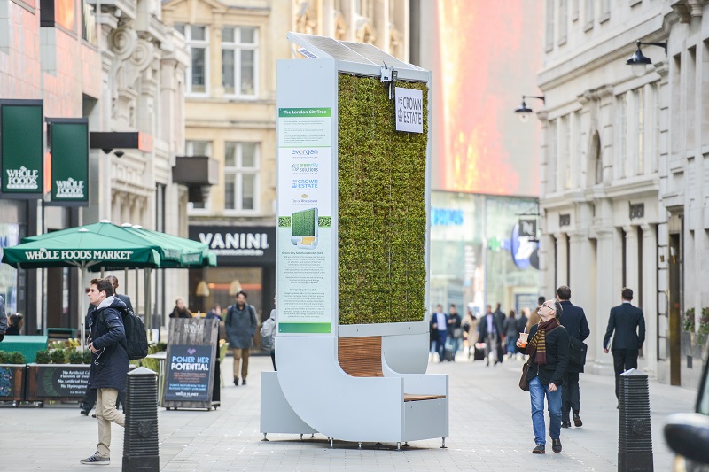 Watford to introduce innovative CityTree