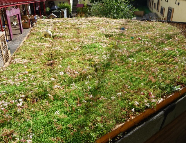 Square Mile school sees nitrogen dioxide reduction