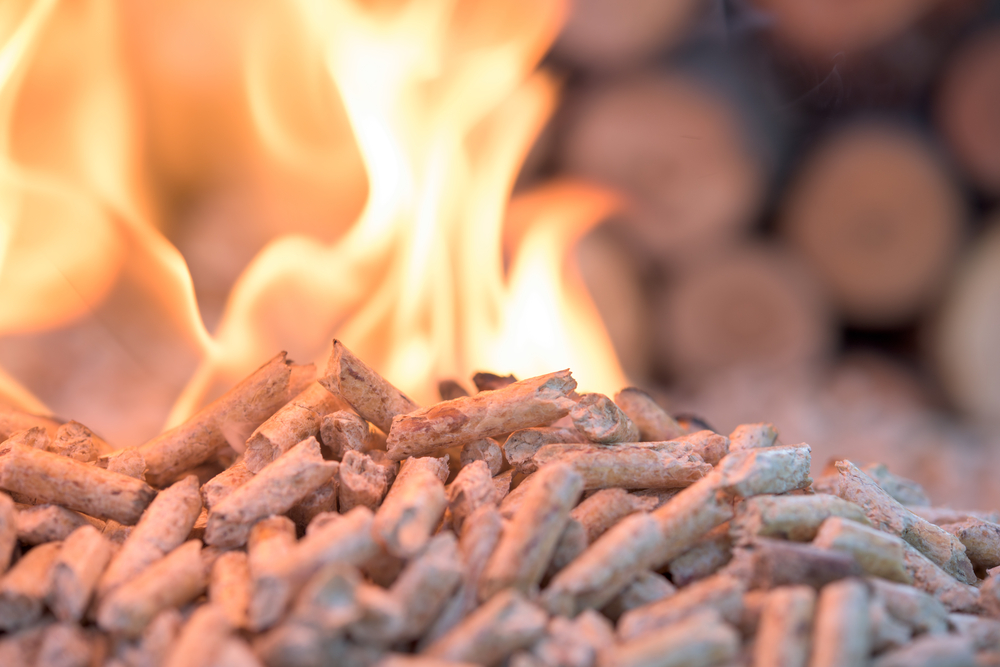 Government to tighten biomass incentive to tackle air pollution