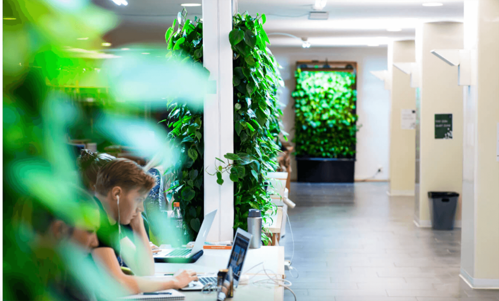 London furniture company launches living ‘green’ walls