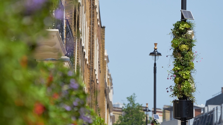 ‘World’s first’ scheme sees London lamp posts go green