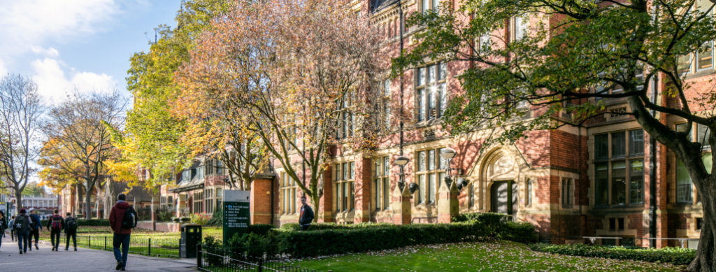Leeds university trees removing 350kg of pollutants every year
