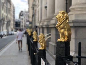 ClientEarth threatens councils with court over ‘collective failure’ of clean air and climate plans