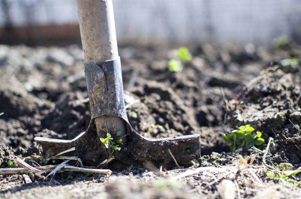 Soil can remove air pollution and regulate climate change