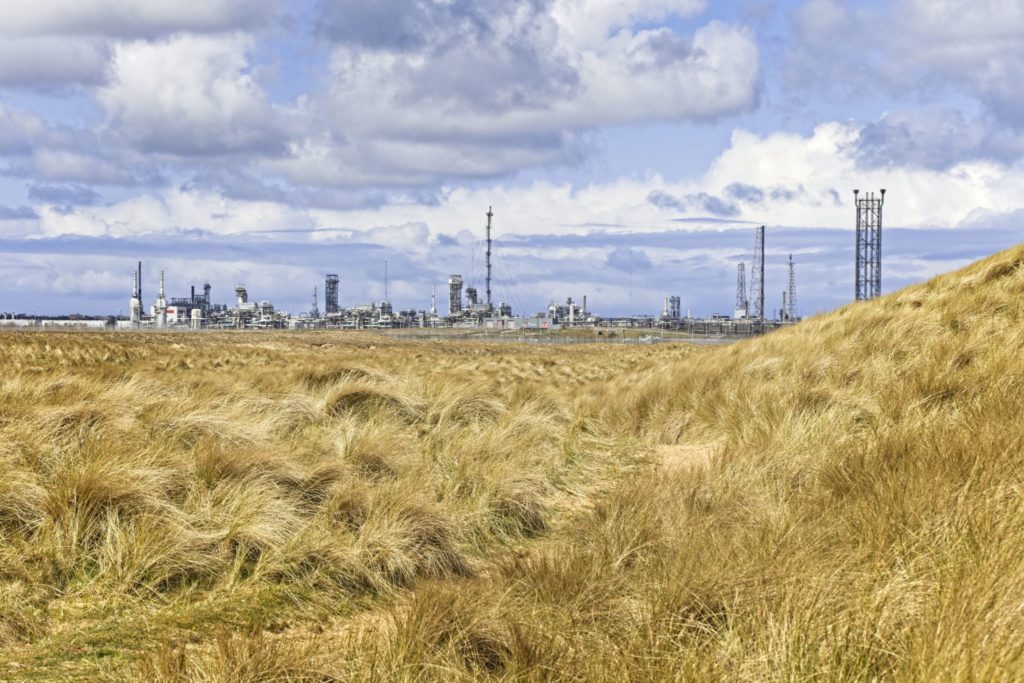 ‘Back the Scottish cluster’ campaign launches