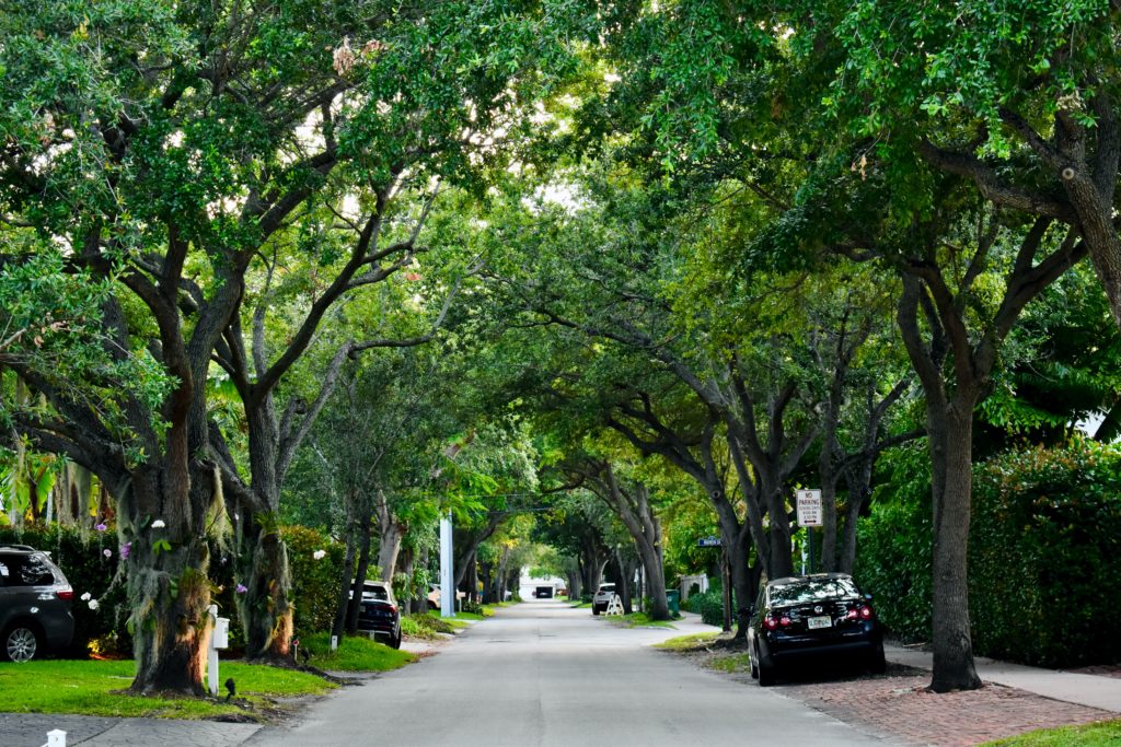 New software will help cities use trees to reduce pollution
