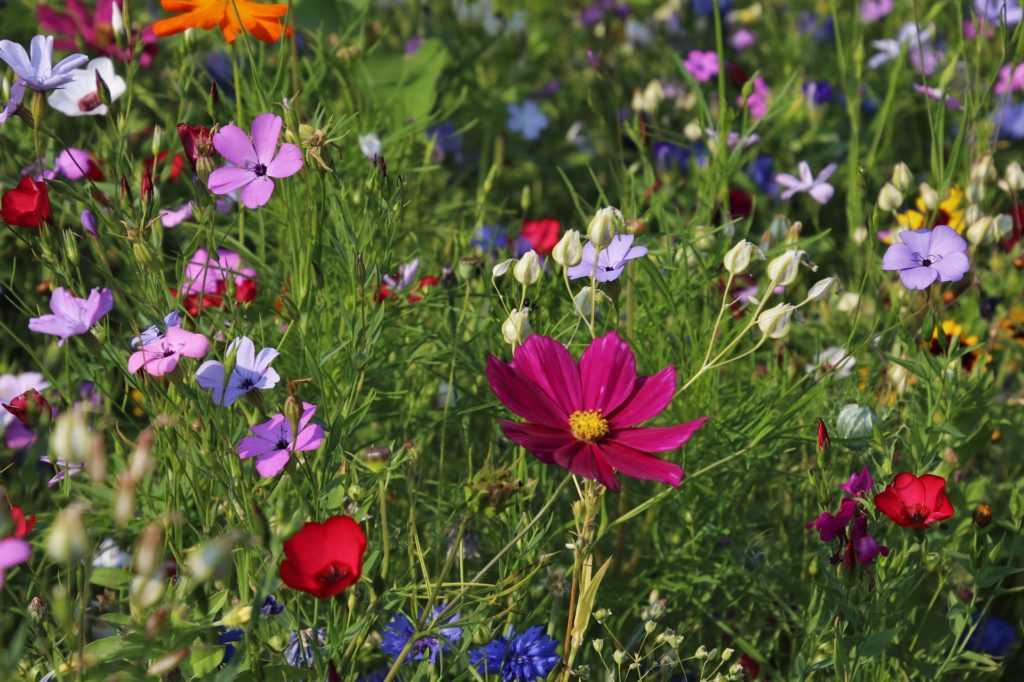 The impact of nitrogen pollution is poorly understood