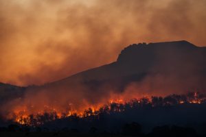 COP26: UK companies will have to publish net-zero transition plans