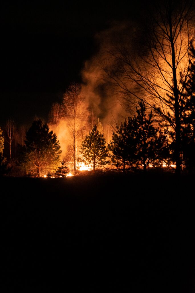 Wildfires in US Pacific Northwest impact air pollution patterns across North America