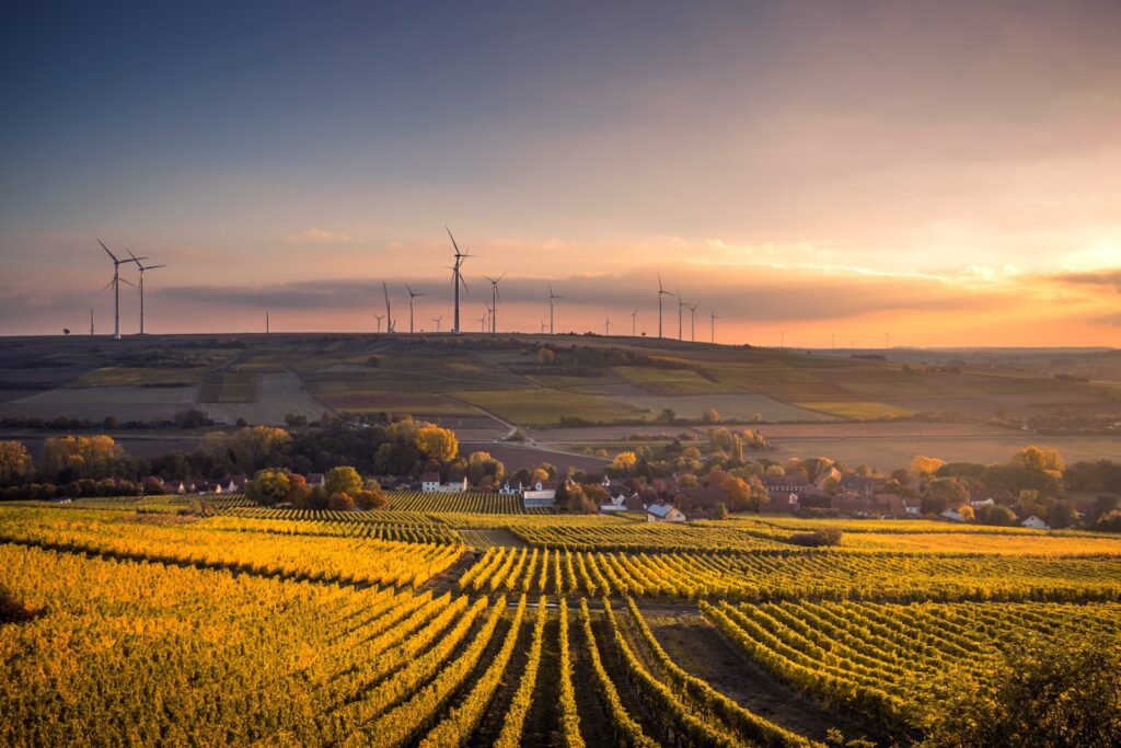 Voters say give councils more money for Net Zero to ease cost-of-living