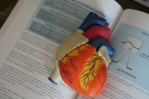 Nitric oxide and particulate matter cause heart attacks in non-smokers