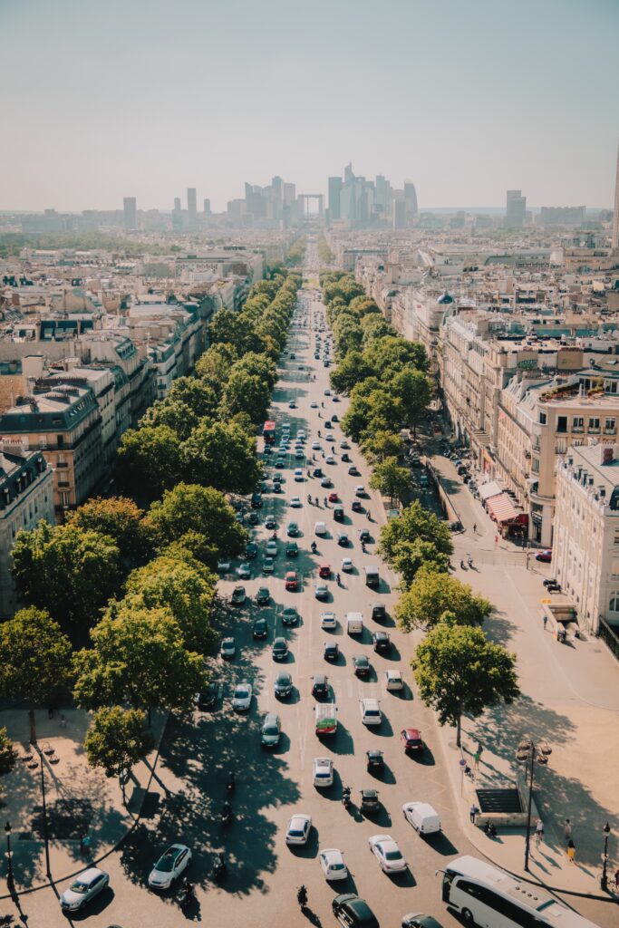 Interview: Ecosia on how urban tree planting can fight the climate crisis