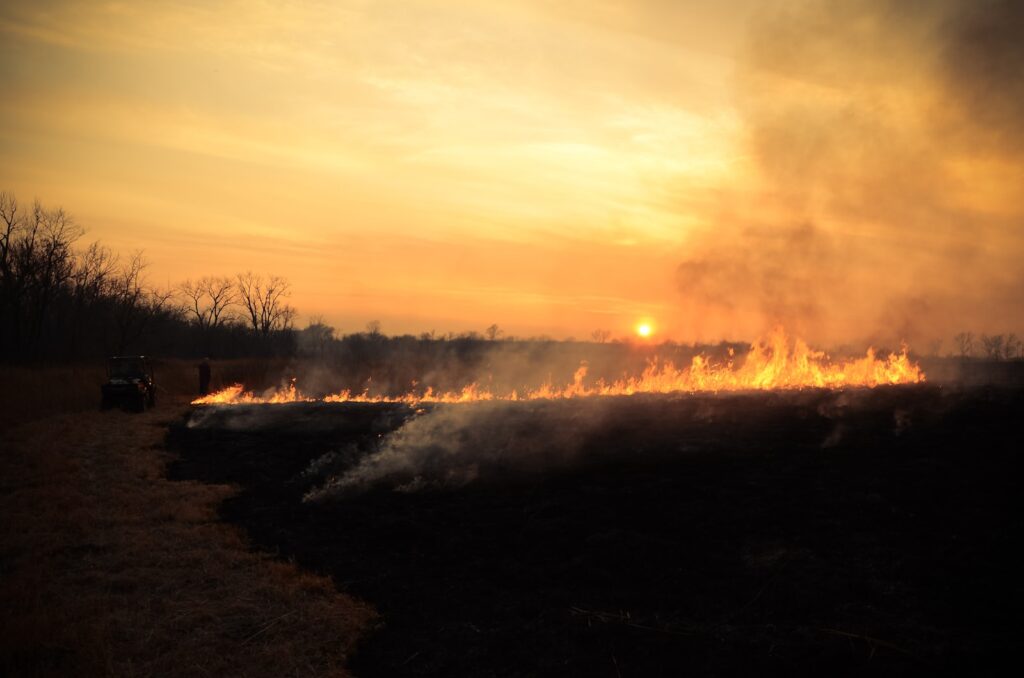 UK among countries to benefit most from wildfire early warnings