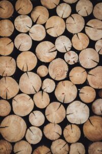 Wood burning is not a renewable energy source, campaigners say