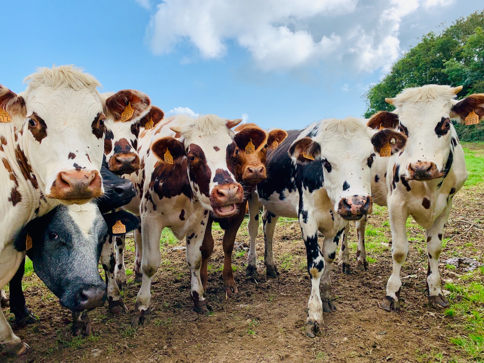 Global satellite methane detection system launched at COP27