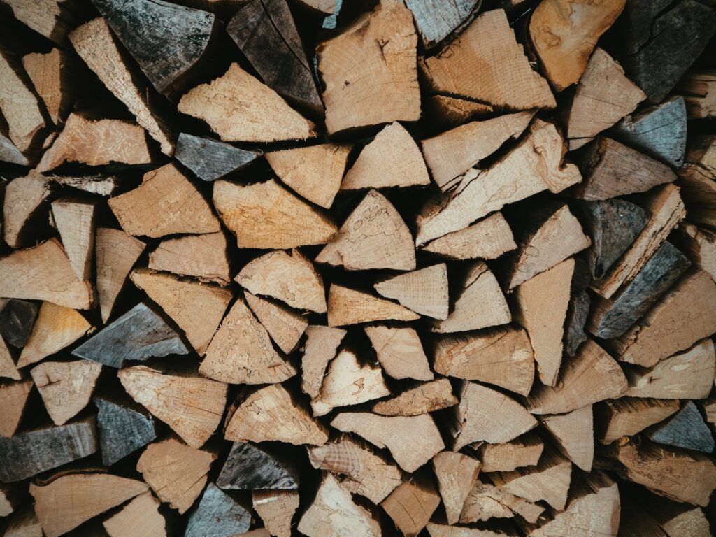 Scientists urge leaders to stop using forests for bioenergy