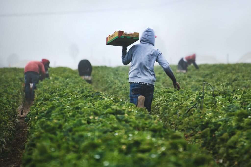 Sustainable development study reinforces air pollution-climate crisis link
