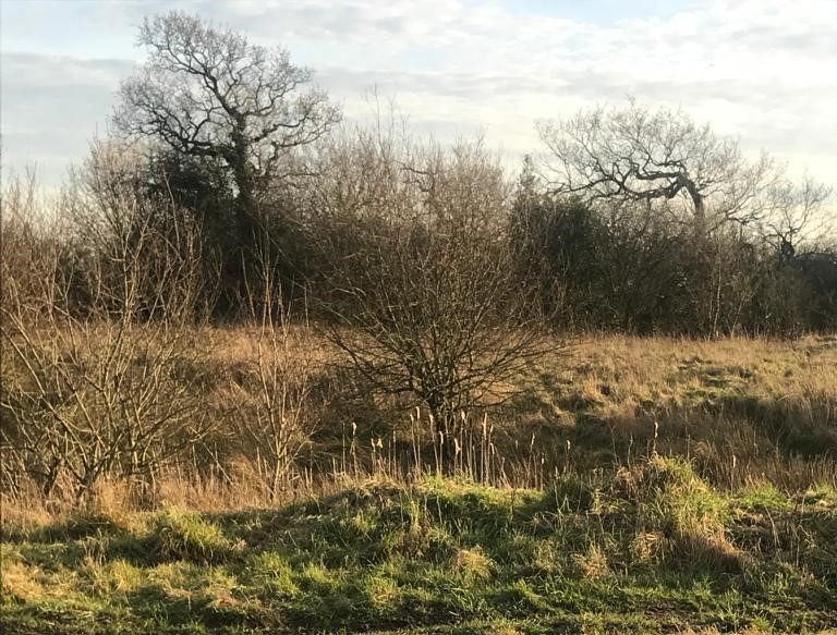 Lancashire incinerator plans sound alarm bells for residents