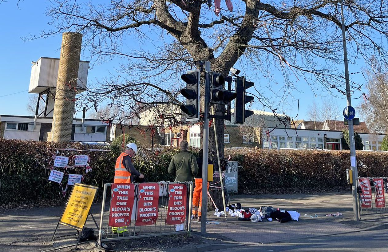 Councillor lodges first ever child protection referral relating to air pollution after tree felled