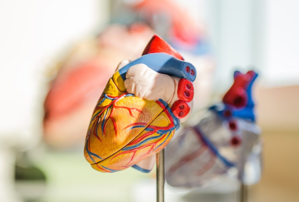 Report reveals role of air pollution in cardiovascular disease deaths