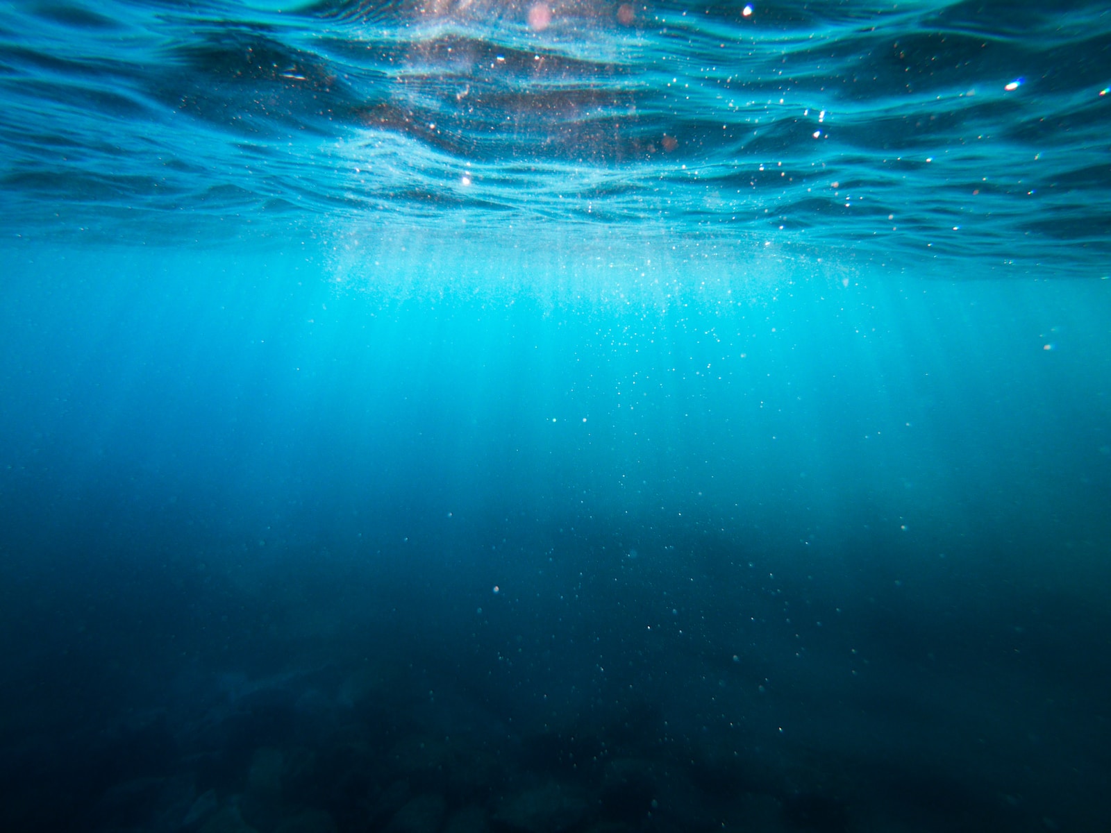 Universities given 7m to work on sustainable tidal stream energy