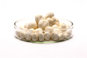 Start-up secure funding to develop bio-based air purification technology