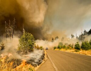 Wildfire smoke can trigger inflammation in the brain, new research finds