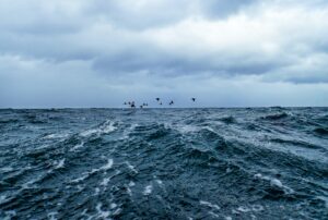 Edinburgh-based Mocean Energy receive funding for scaled-up wave energy trails